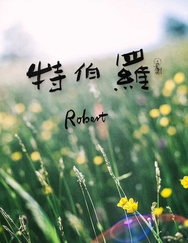 Robert · Hanzi Calligraphy Name Art (5 Styles, Digital Edition)